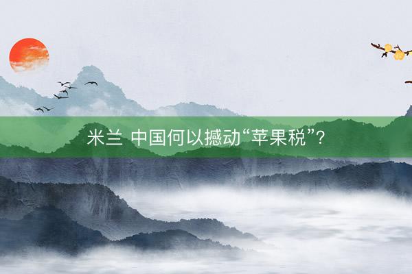 米兰 中国何以撼动“苹果税”？