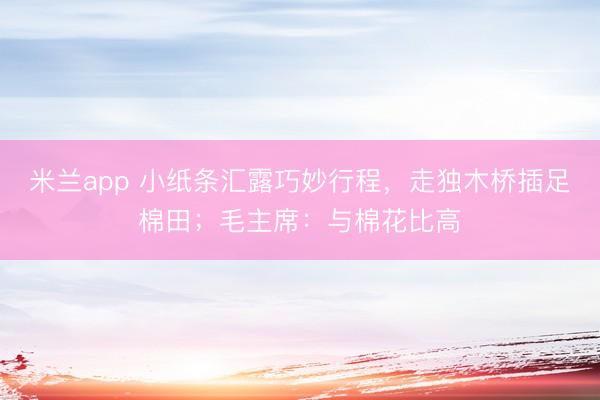 米兰app 小纸条汇露巧妙行程，走独木桥插足棉田；毛主席：与棉花比高