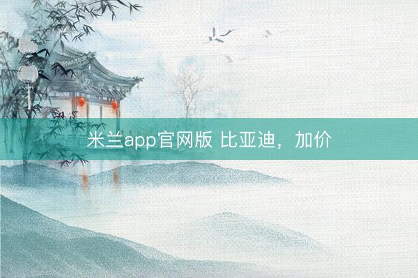 米兰app官网版 比亚迪，加价